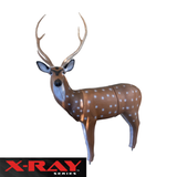 X-Ray Series Axis Deer Foam Archery Target