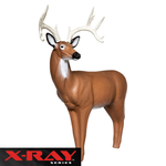 X-Ray Series Big Buck Foam Archery Target
