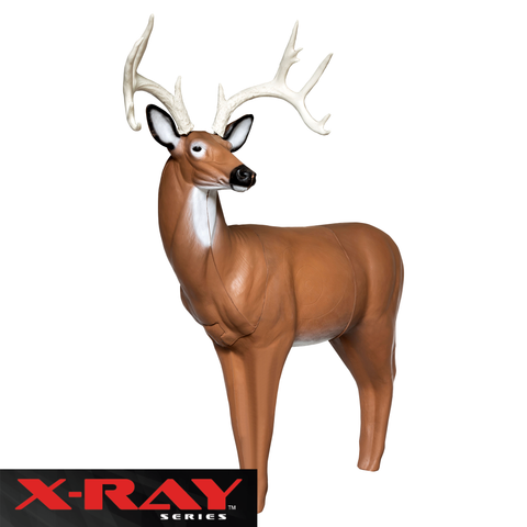 (Pre-Order)X-Ray Series Big Buck