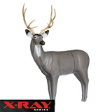 X-Ray Series Mule Deer Foam Archery Target